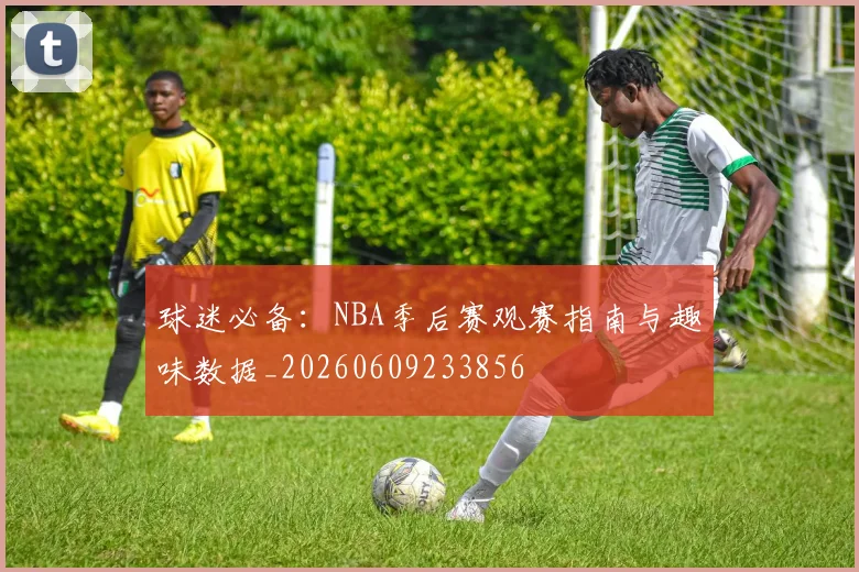 球迷必备:NBA季后赛观赛指南与趣味数据_20260609233856